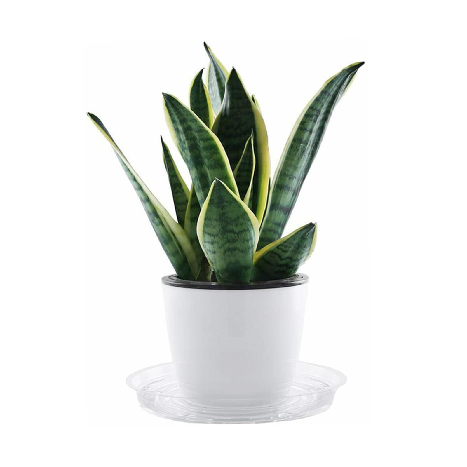 10pc Garden Plant Saucer Drip  - đánh giá và giá Drip Tray Saucer