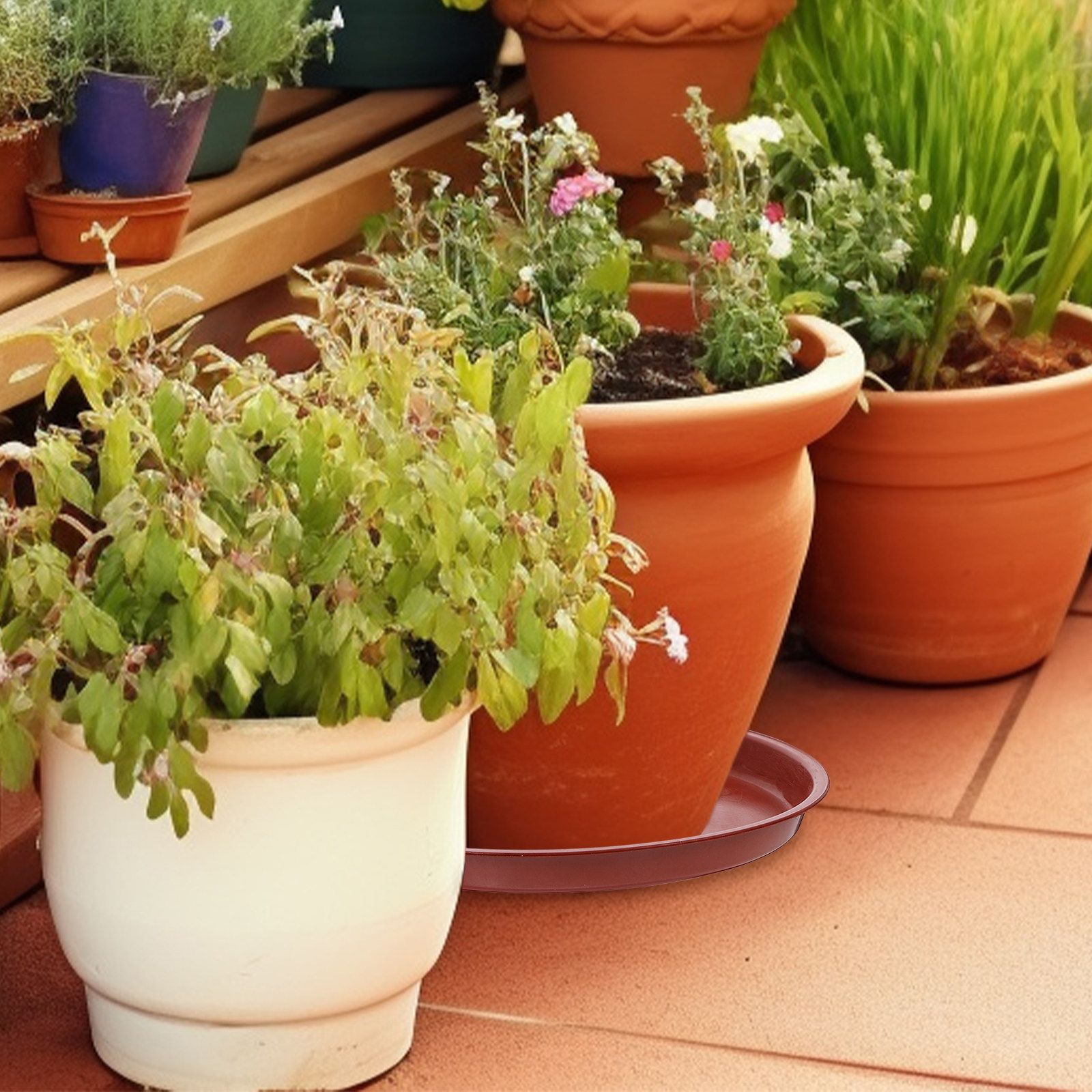 20Pcs Red Plastic Plant Pot Sa - đánh giá và giá Drip Tray Saucer